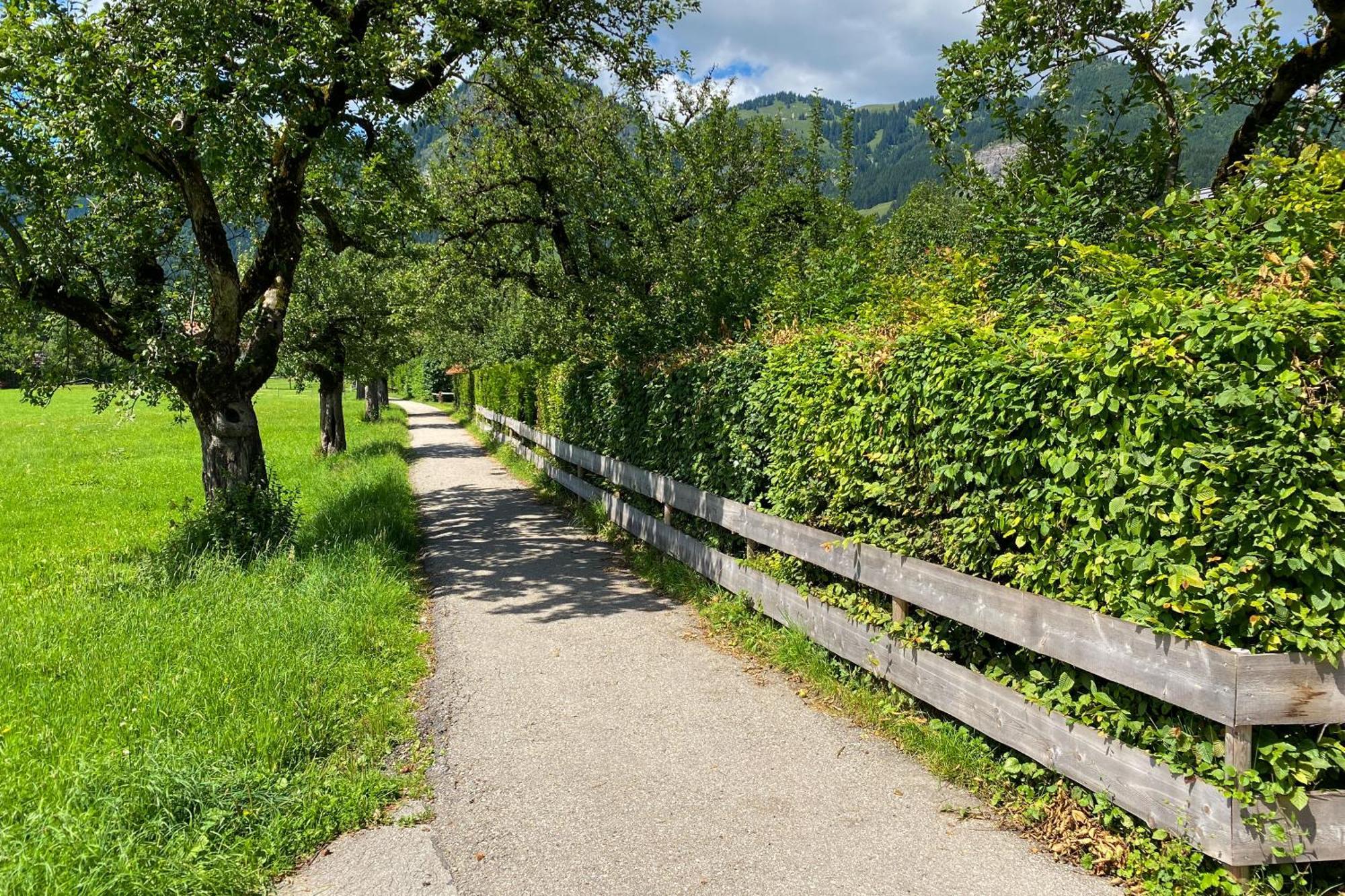 Haus Breitenberg Im Allgaeu - Inklusive Seilbahnen & Skipass Bad Hindelang Dış mekan fotoğraf